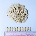 New crop Xinjinag owned factory big size pumpkin seeds